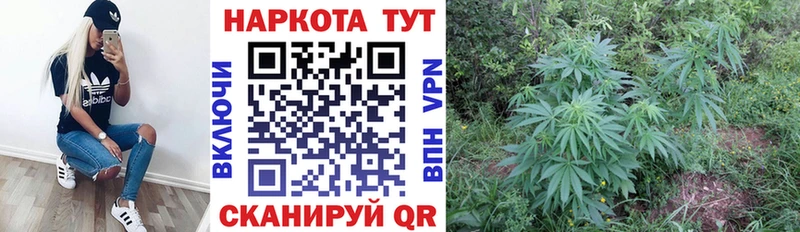Наркошоп купить ГАШИШ  Alpha-PVP  Меф  Каннабис  Ливны