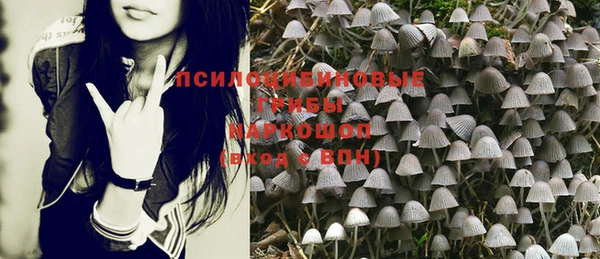 мяу мяу мука Балабаново